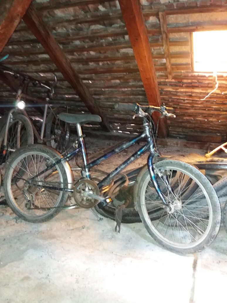Alpina Bicicleta de copii elvetiana ci roti pe 20"