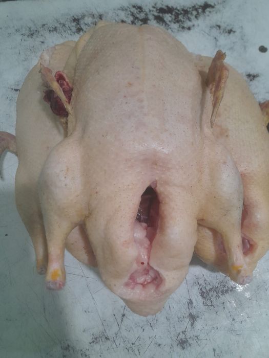 Нежная индейка, ароматная курица, сытный гусь.