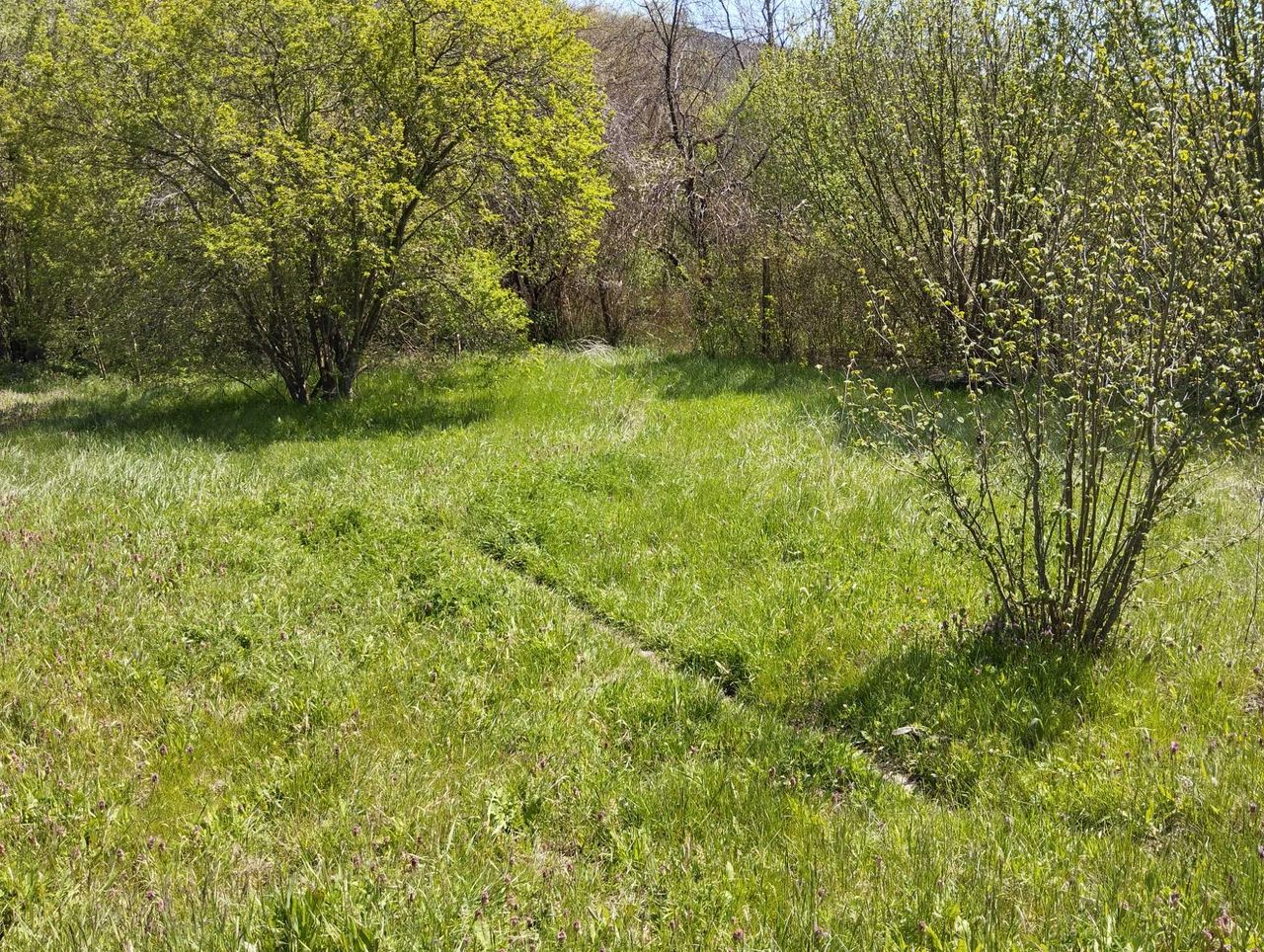Продава се Къща в с. Долище, Област Варна - 60 кв.м за 1484 €/кв.м - Снимка #13