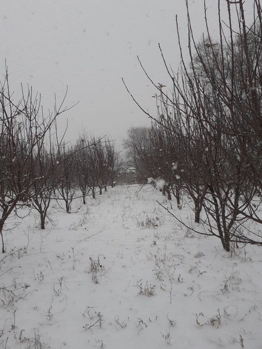 Продам дом в селе Байдибек Би