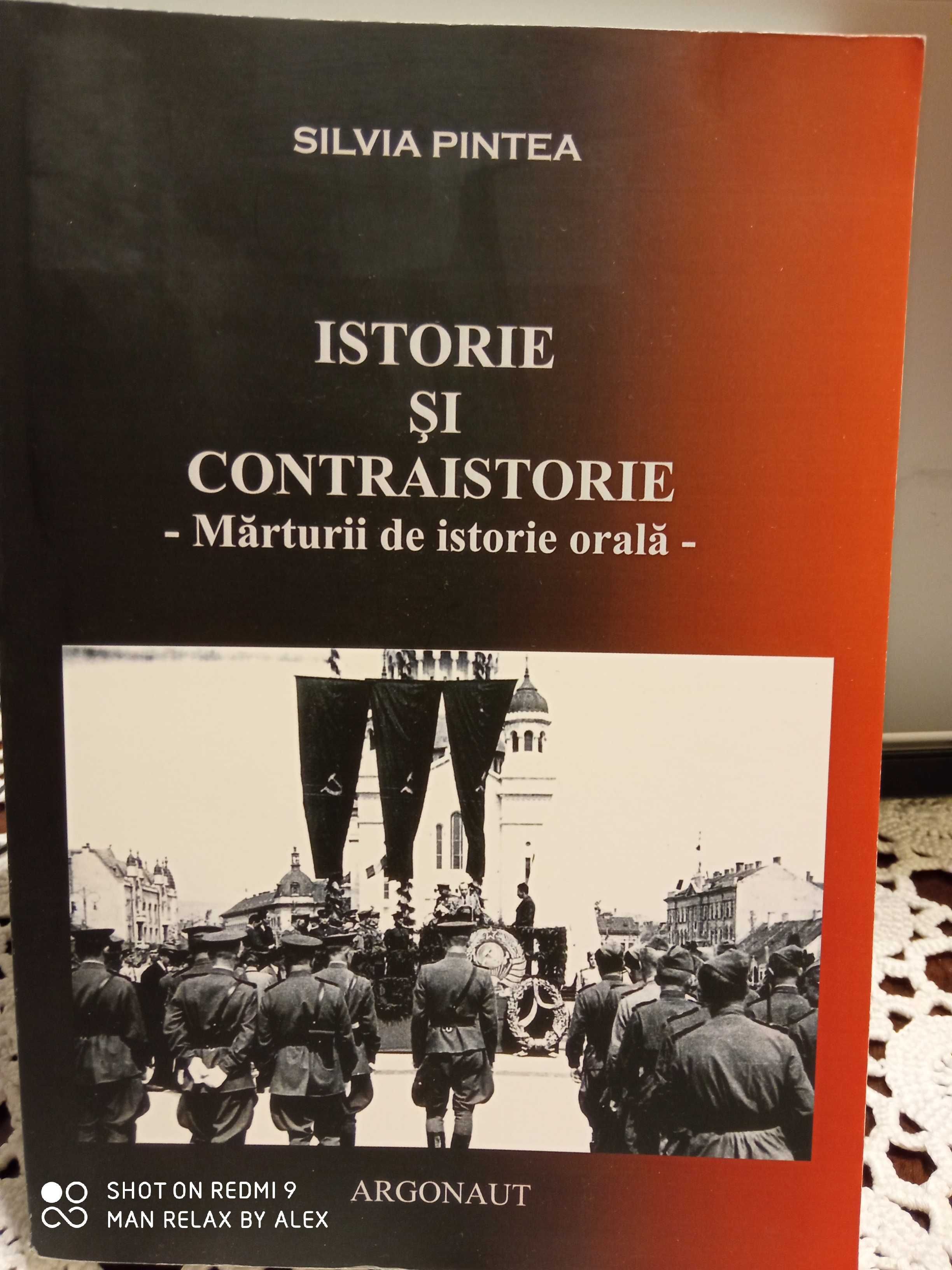 Silvia Pintea - Istorie și contraistorie