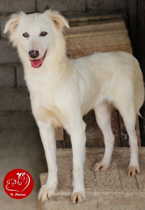 Подари Габи семью