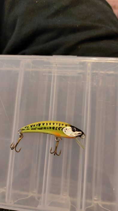 Воблери за пъстърва