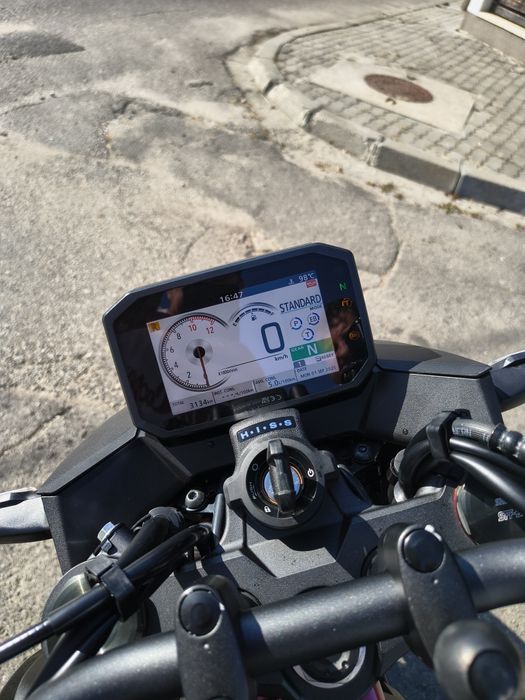 Honda Hornet 750cc 91 cp, an 2024