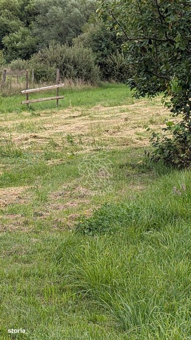 Teren intravilan 500 mp cu utilitati-ideal casa-Bistrita Bargaului