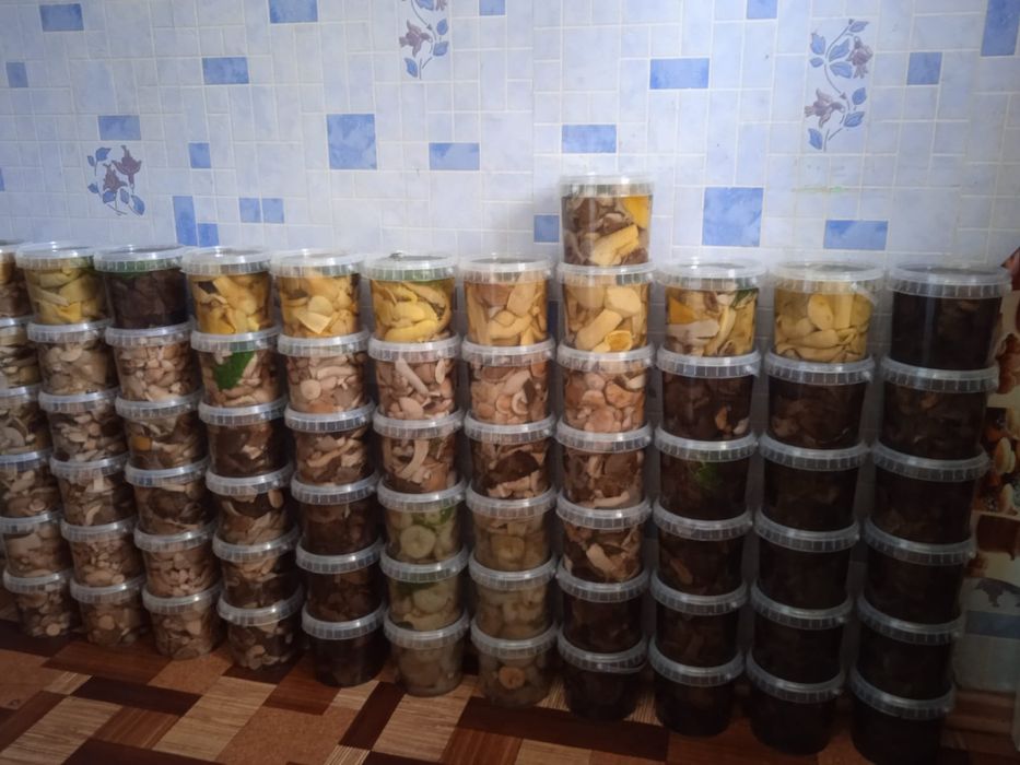 Продам грибы к-т Боровое