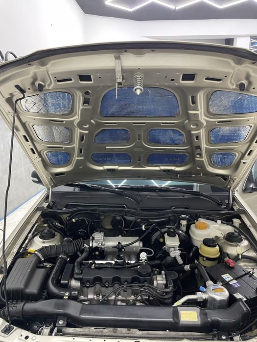 Nexia2 gibrid 2016 тоза100%