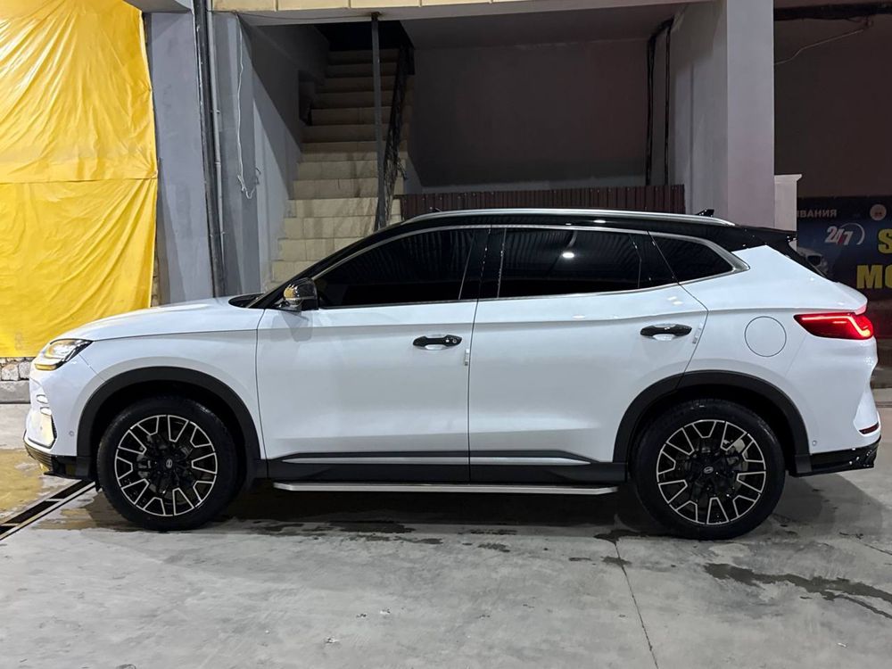 Byd champion 605