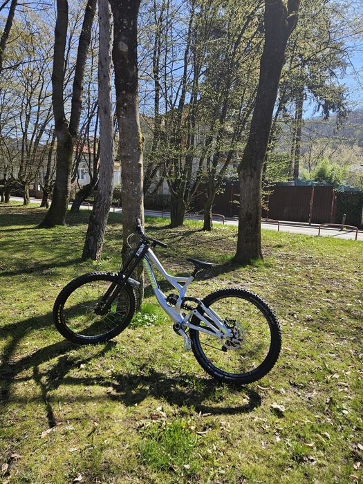 Specialized demo 8