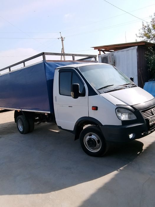 Gazel naxadu sotka mator