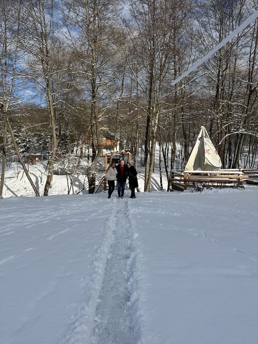 Inchiriez Revelion 2026 Pensiunea Codrii Vlasinului Vanatori Ciucea