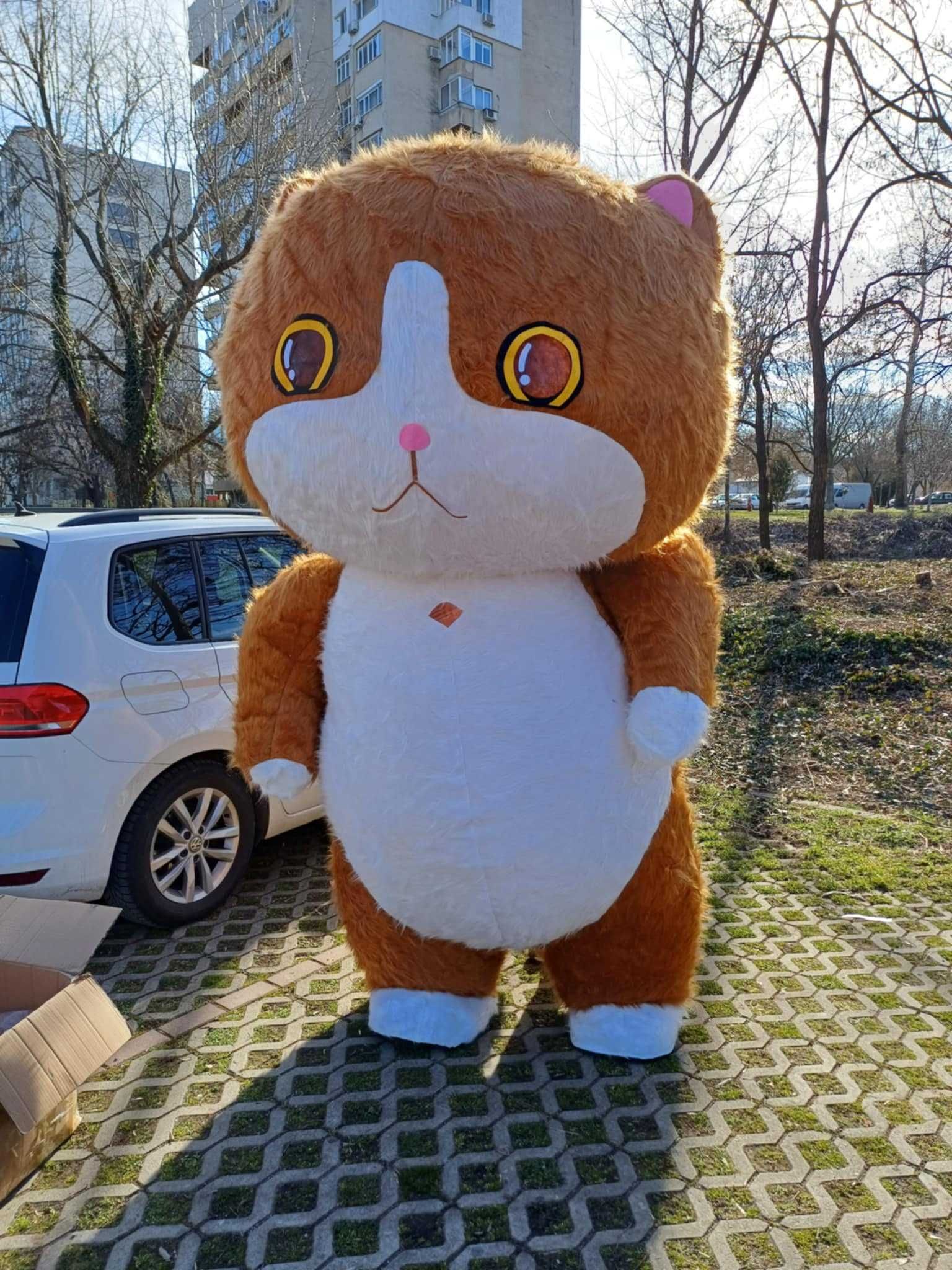 Маскот Костюм на Голямо Коте и Червена Лисица