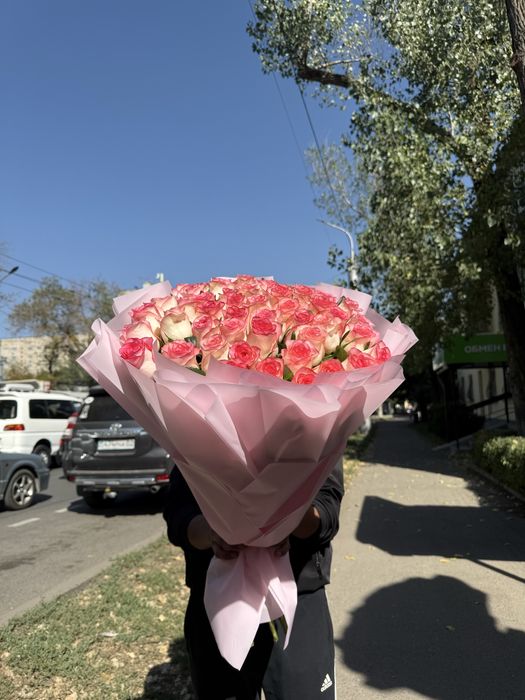 51 роза по АКЦИИ!