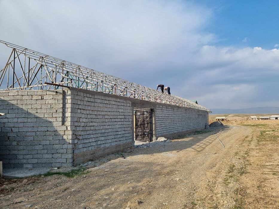 ferma tom naveslar quramiz