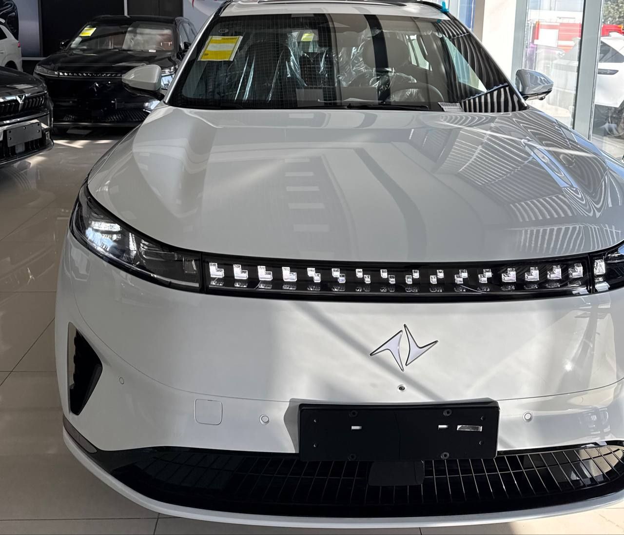 Dongfeng 008max2025