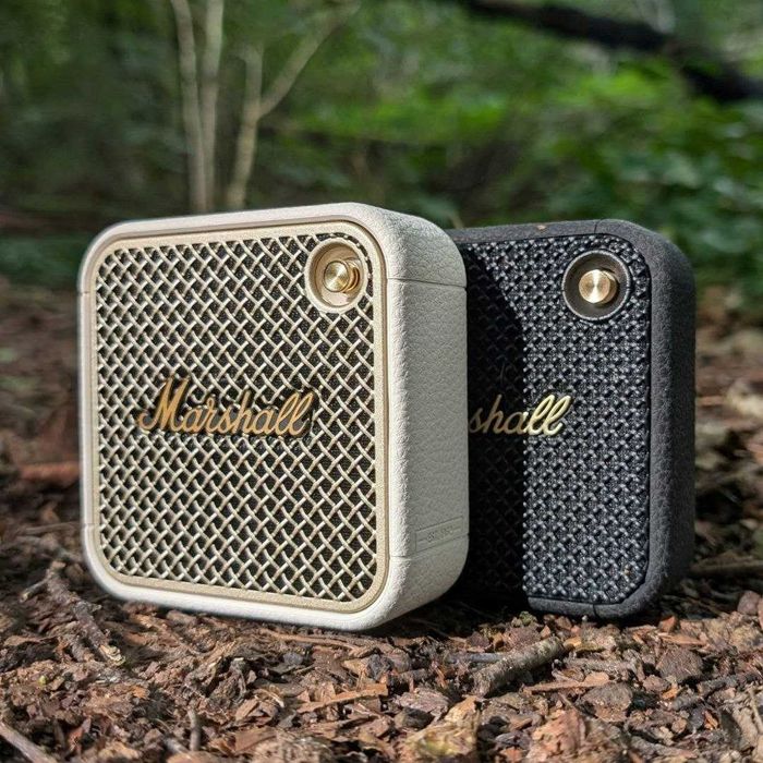 Беспроводная колонка Marshall Willen II 10W. Есть доставка
