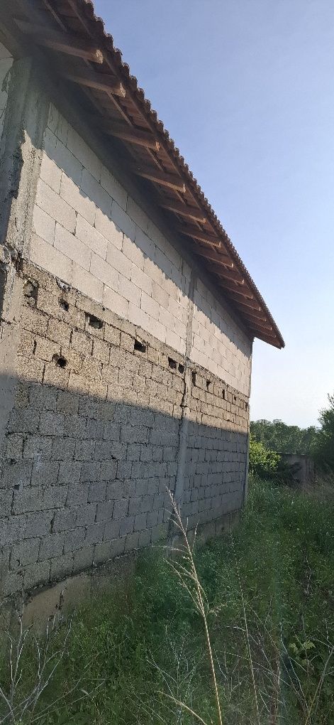 Casa Walter Maracineanu
