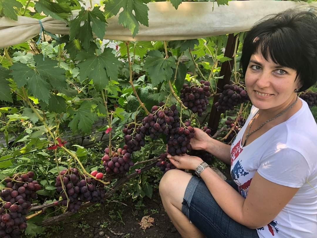 Vita de vie Podarok Nesvetaia