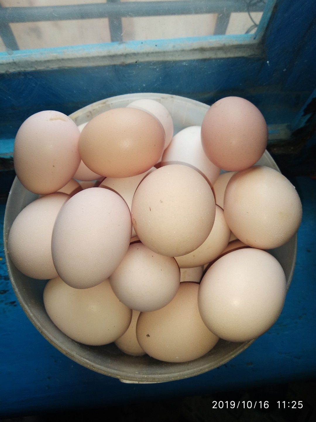 Яйца от домашних кур