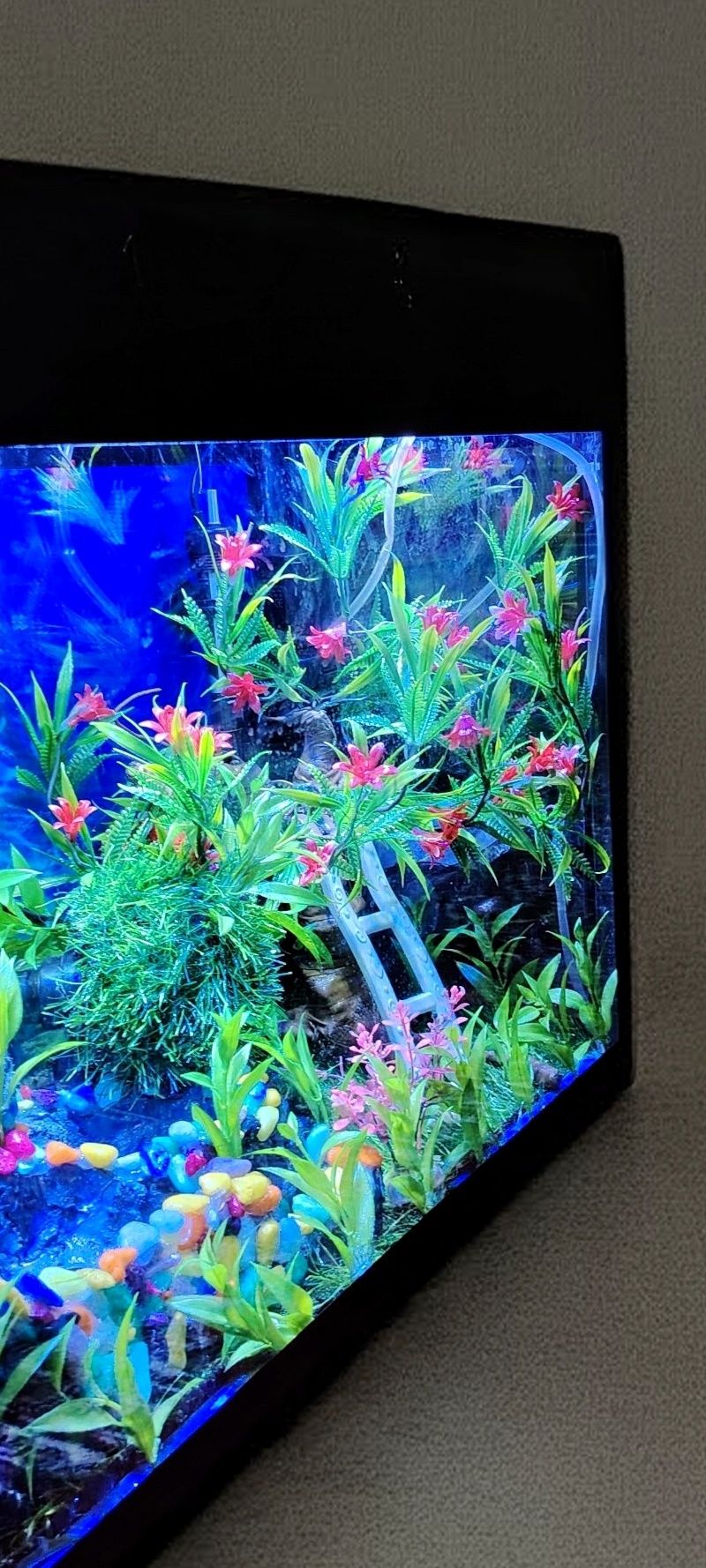 Akvarium sotiladi