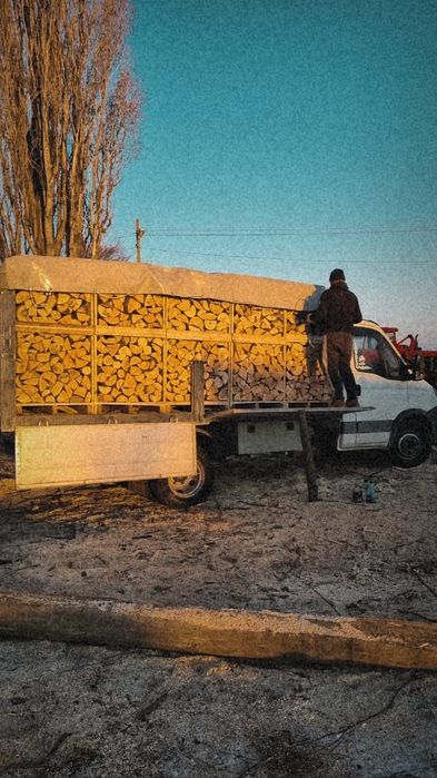 Lemne de foc taiate si sparte