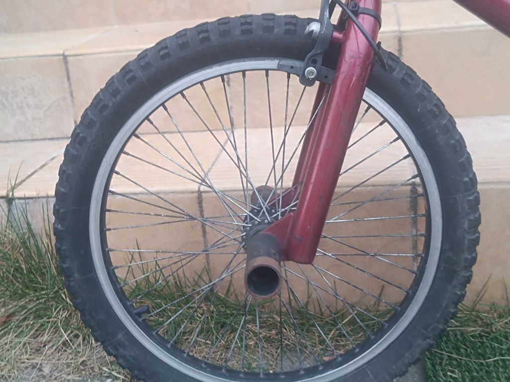 Bicicleta BMX cu peguri