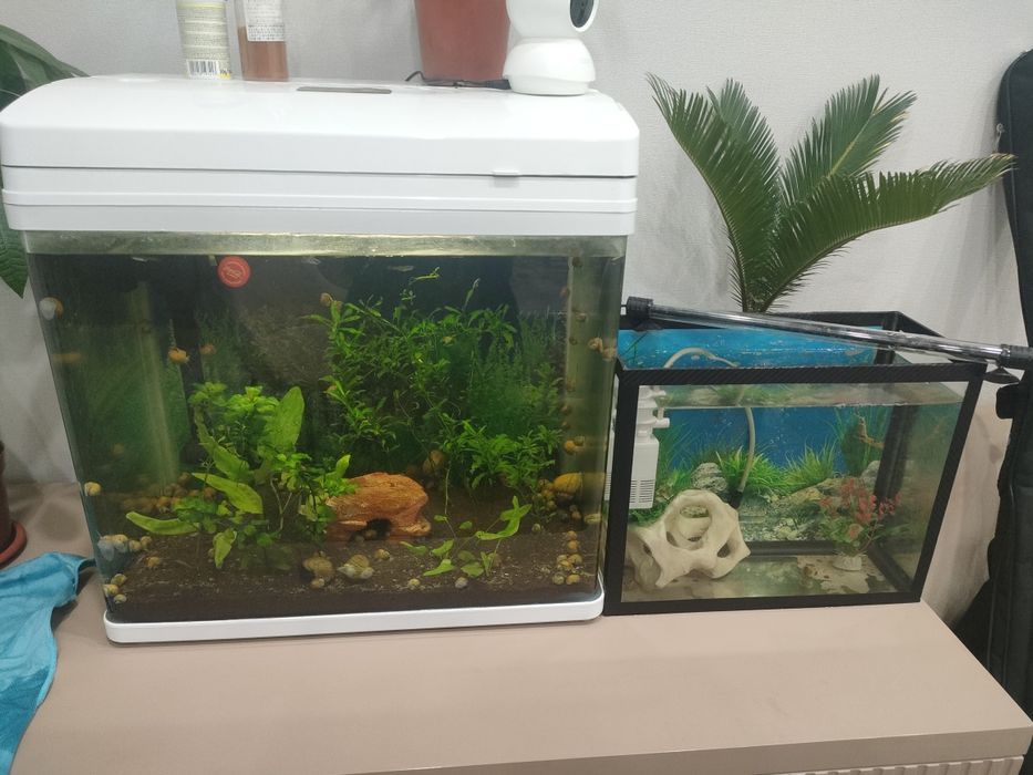 Аквариум  со всеми принадлежастами и рыбками