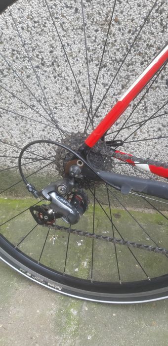 Specialized alliz