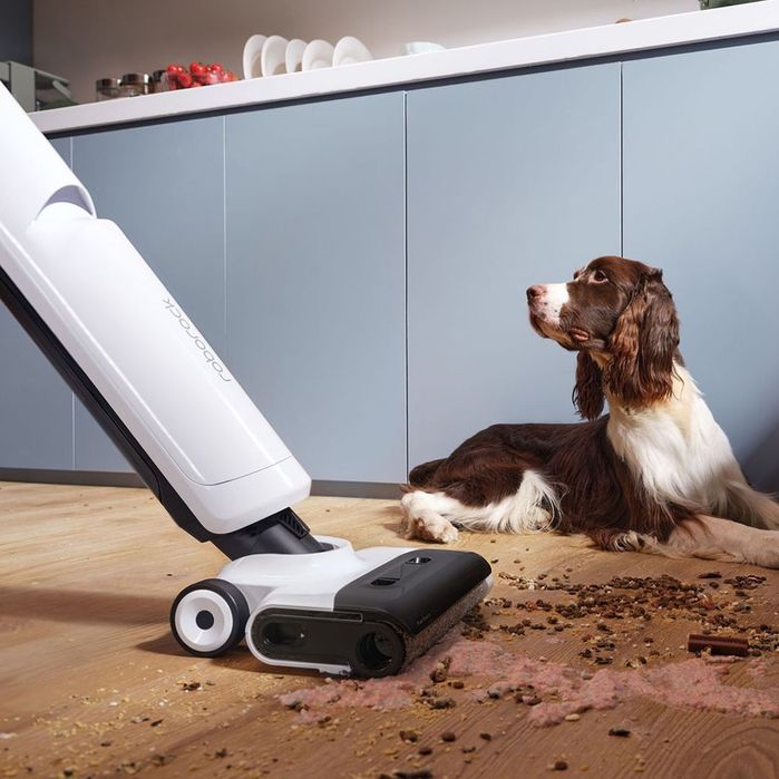 Вертикальный моющий пылесос Roborock Flexi Lite | Высшее качество