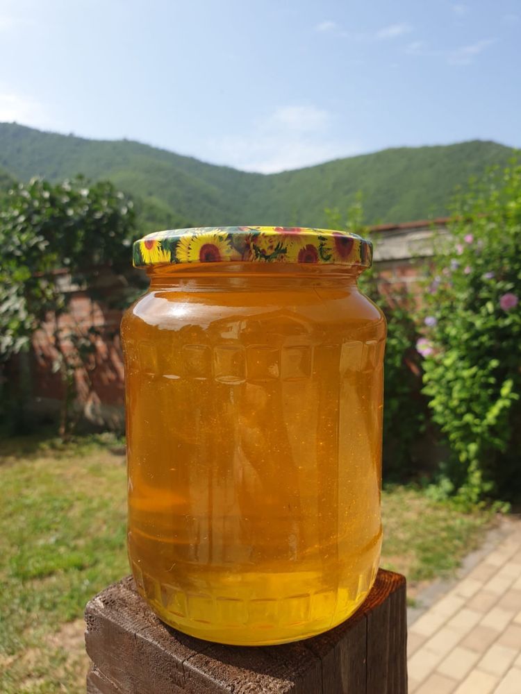 Miere naturală polifloră și de rapiță – direct de la apicultor