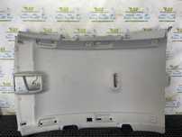 Plafon interior Audi A4 B8/8K [2007 - 2011] 2.0 tdi CAGA