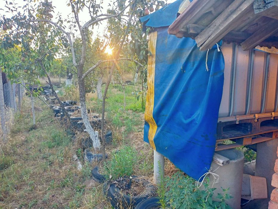 Вила, дворно място