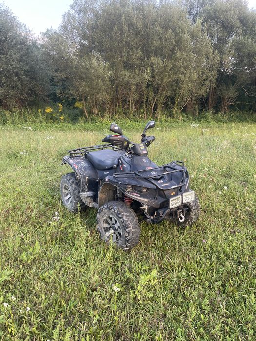 Vand Linhai Dragonfly 400