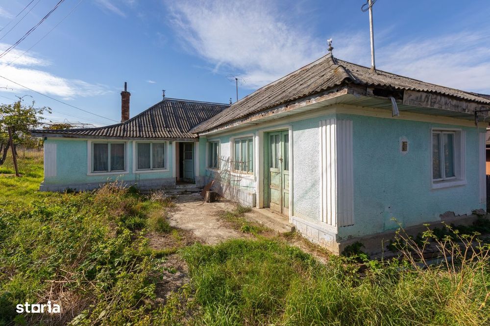 Casǎ de vânzare, Măgura