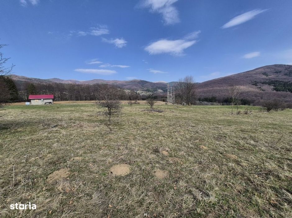 Teren intravilan la baza pădurii Valea Doftanei sat Traisteni (poduri)