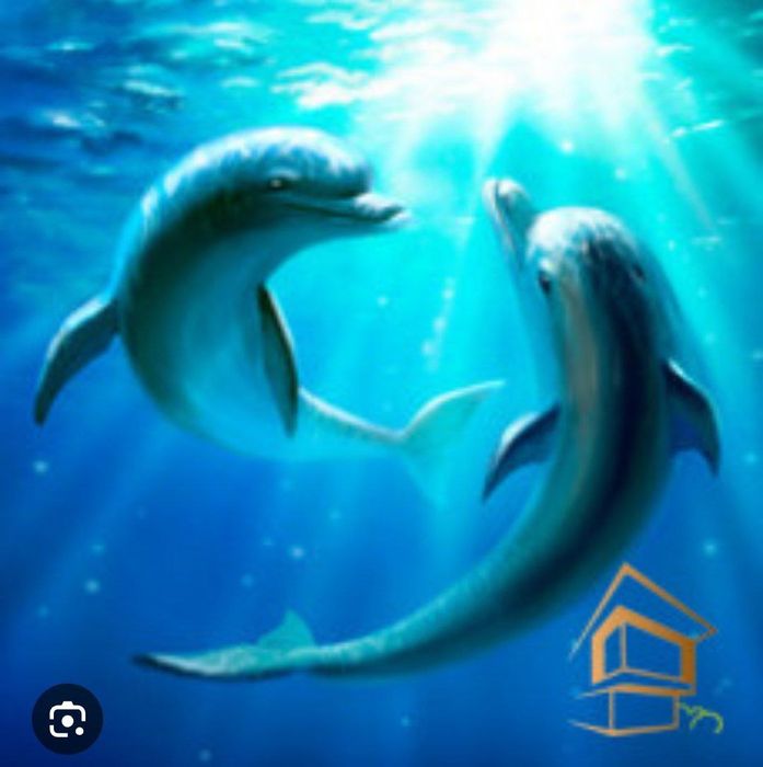 натяжной паталок фото обой хизмати