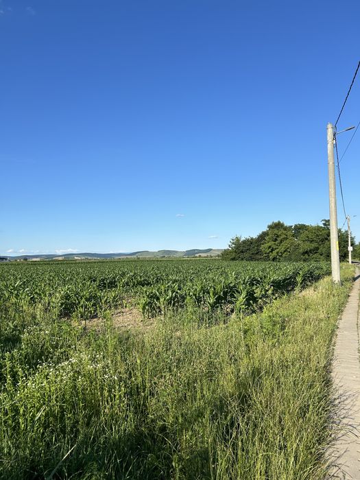 Teren intravilan 4183mp Santana de Mures Str. Pasunii