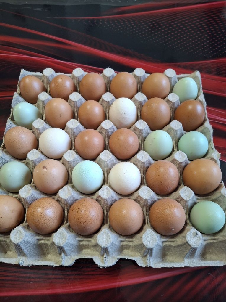 Яйцо домашнее продам