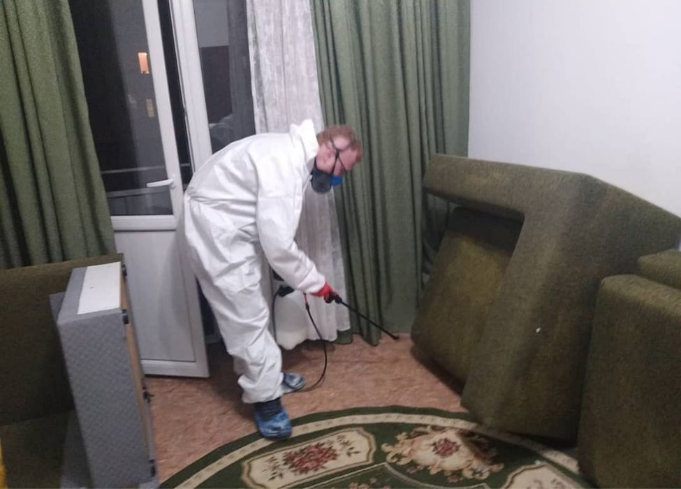 Дератизация в Талдыкоргане защита вашего дома и бизнеса от крыс и мыш