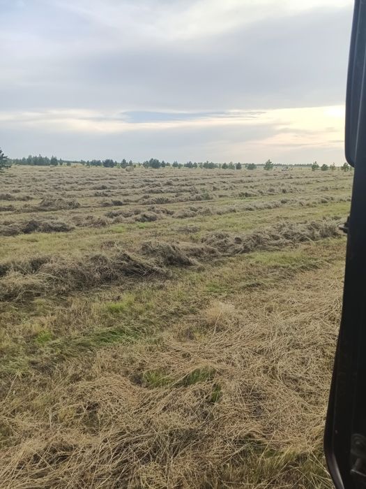 Продам Сено круглые рулоны оптом и в розницу