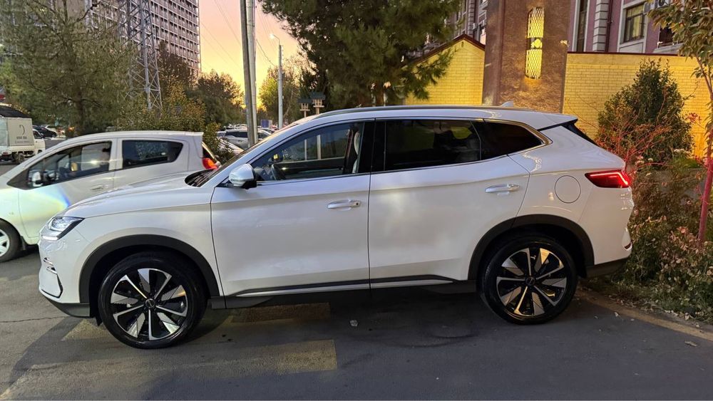 Byd champion 2024/25 restayling