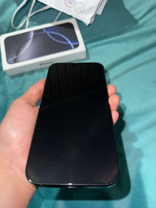 16 про мах 256 100аккум