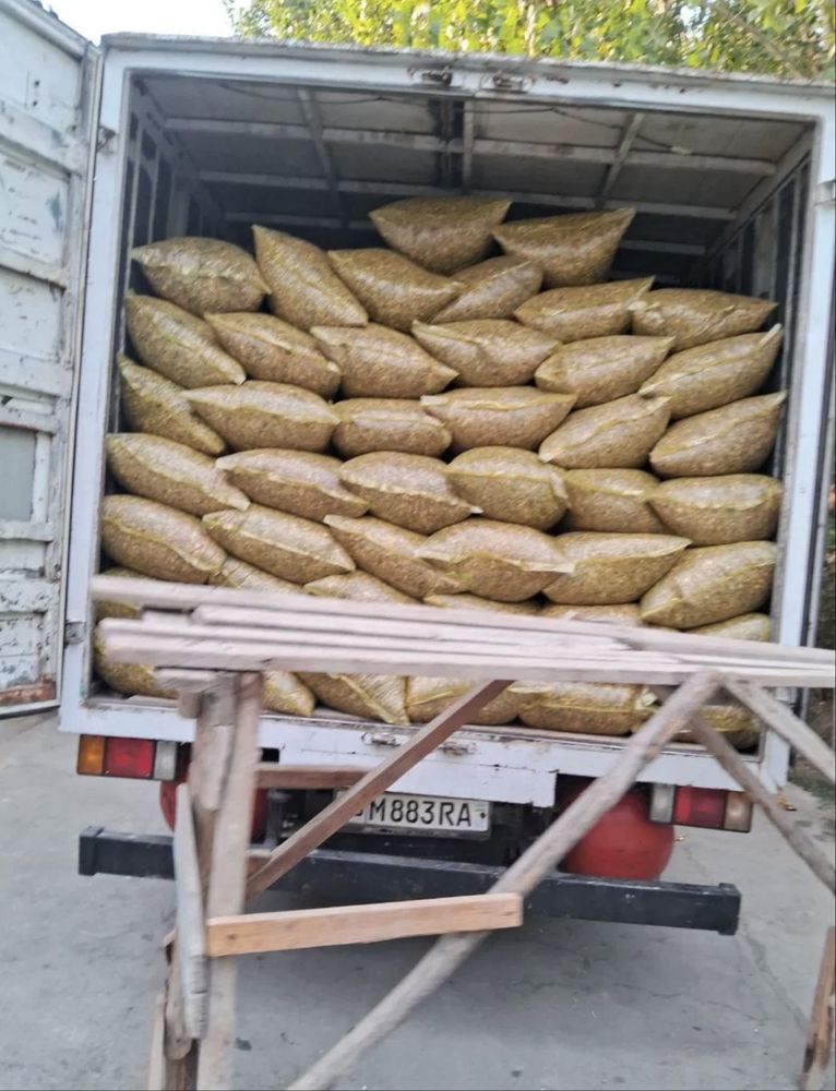 Silos DONLIK GIBRIT 18 000 som OPTOM
