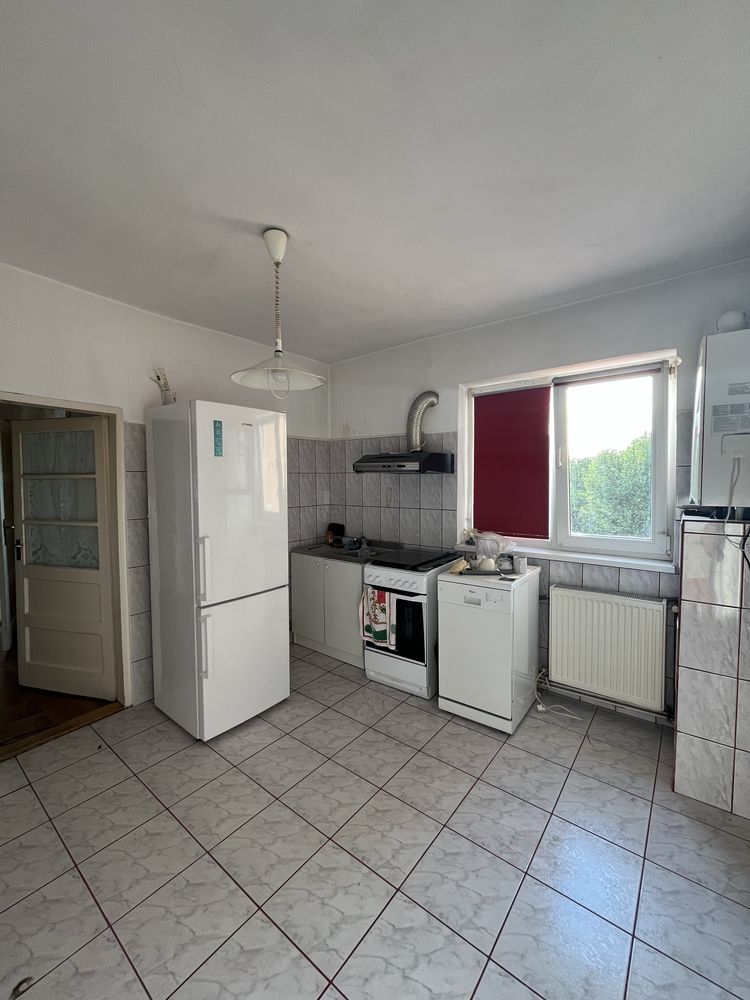 Casa cu garaj in Elisabetin