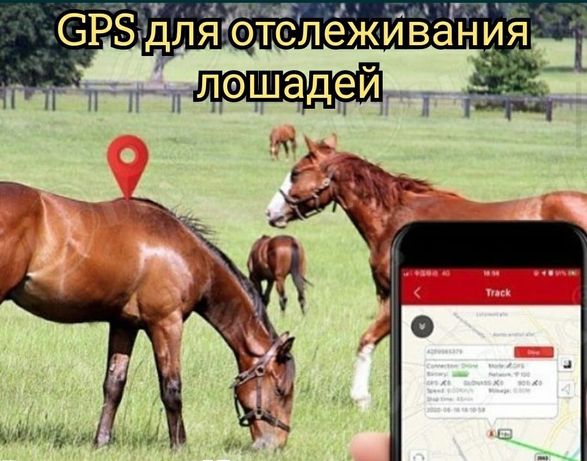 Трекер для отслеживания лошадей авто по карте GPS ЖПС жылкыға