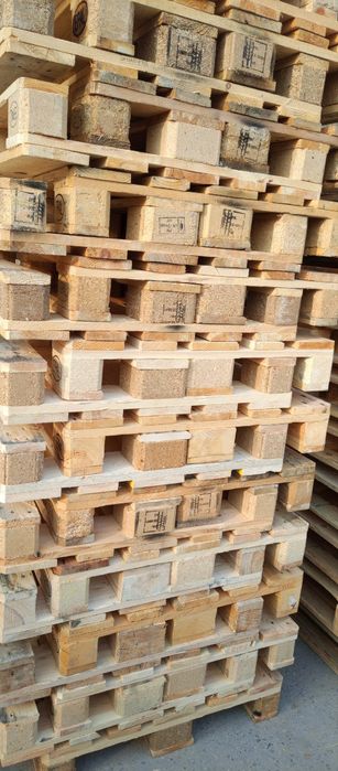 Paddon 1- sort yevro 80 mingdan