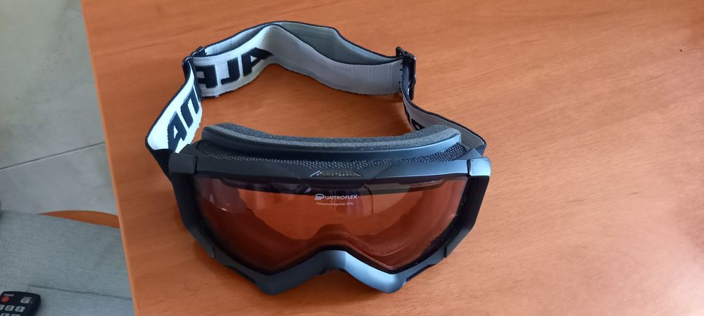 Ochelari Alpina Quattroflex Panama Magnetic OTG