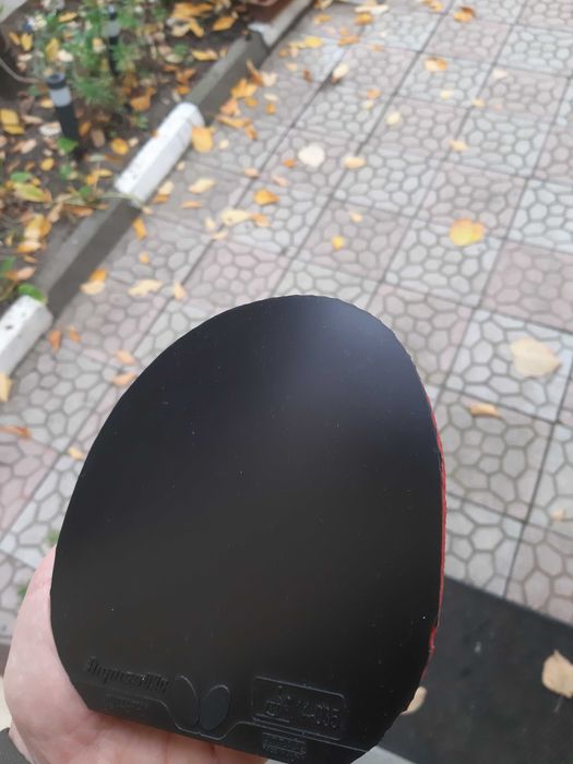 Fata de paleta Butterfly Dignis 09c