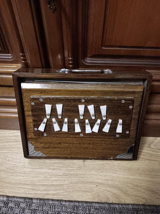 Instrument muzical
