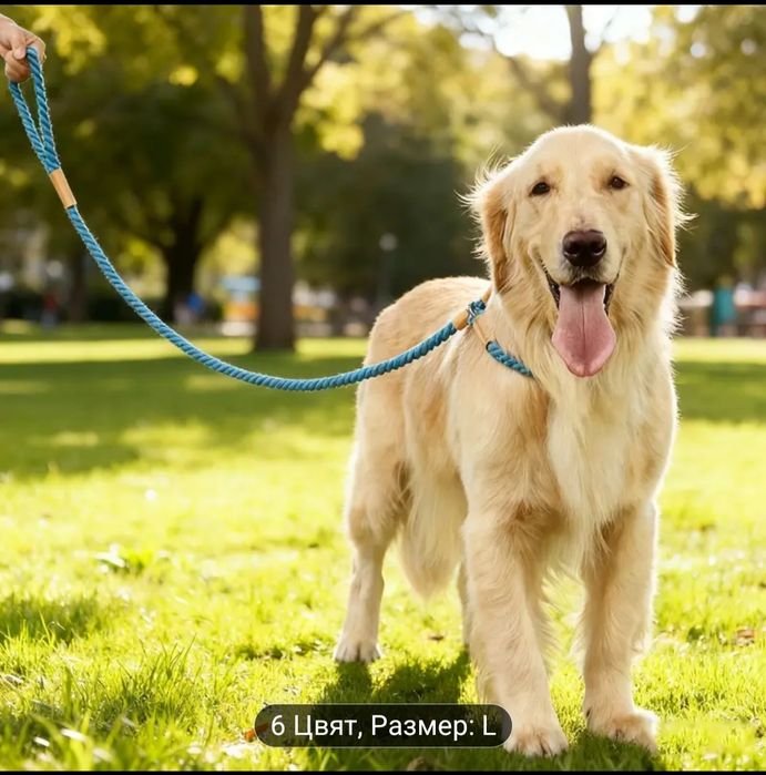 Повод за кучета в три цвята